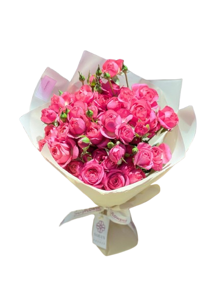 Pink Spray