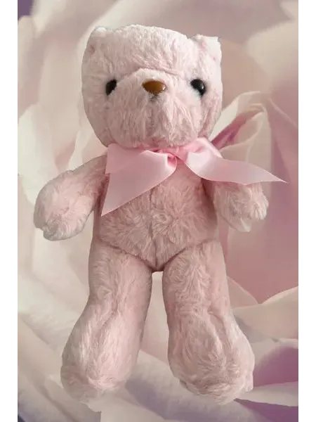 Pink plush teddy bear gift add-on Phuket