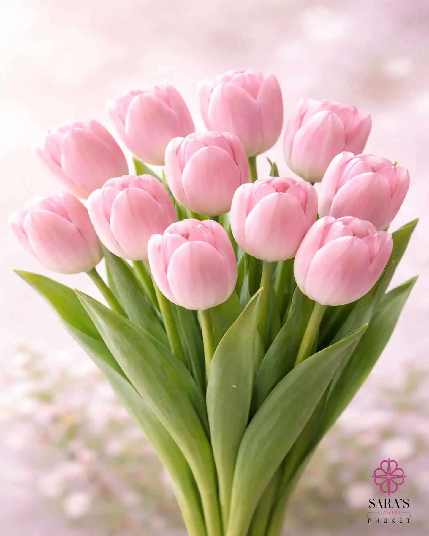 Elegant bouquet of light pink tulips with green stems, wrapped in white luxury paper.