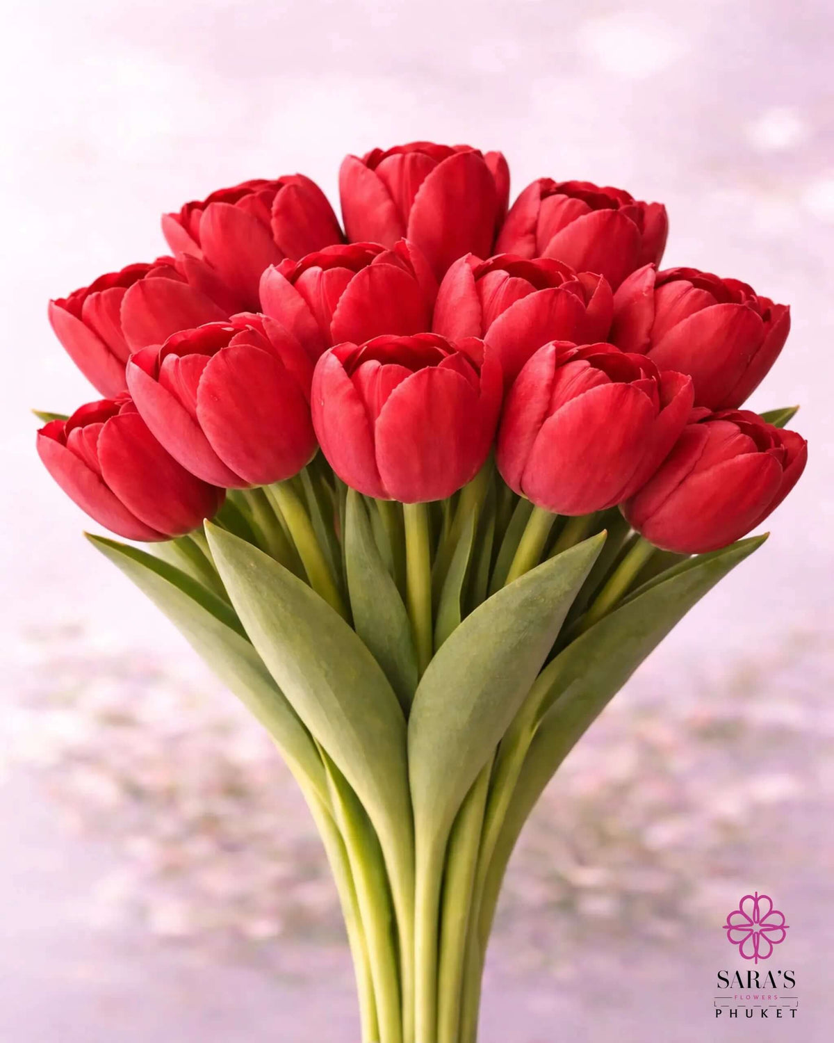 Vibrant red premium tulips with green stems, elegantly wrapped in white luxury paper, tied with Sara's Flowers Phuket ribbon.