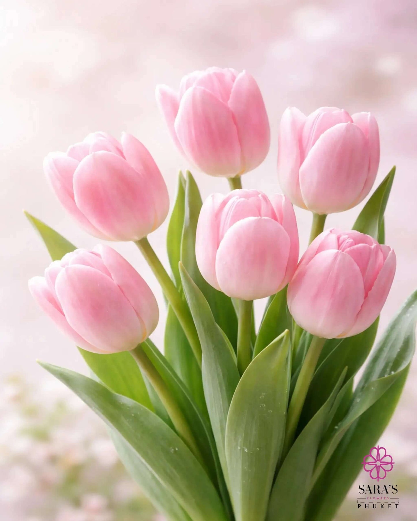 Six delicate pink tulips with green stems, arranged in a bouquet.