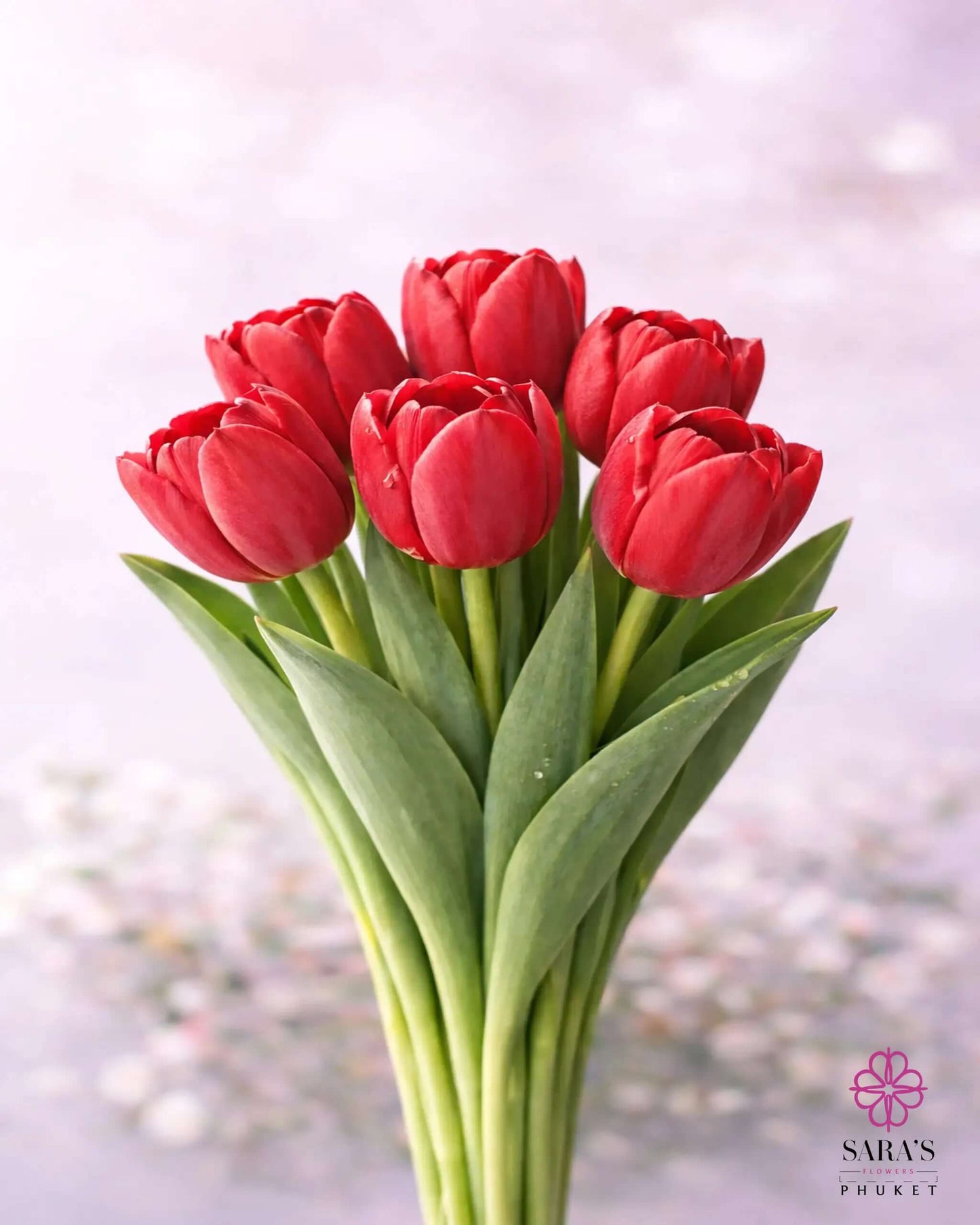 Vibrant red tulip bouquet with green stems, elegantly wrapped in white luxury paper, tied with a signature ribbon.