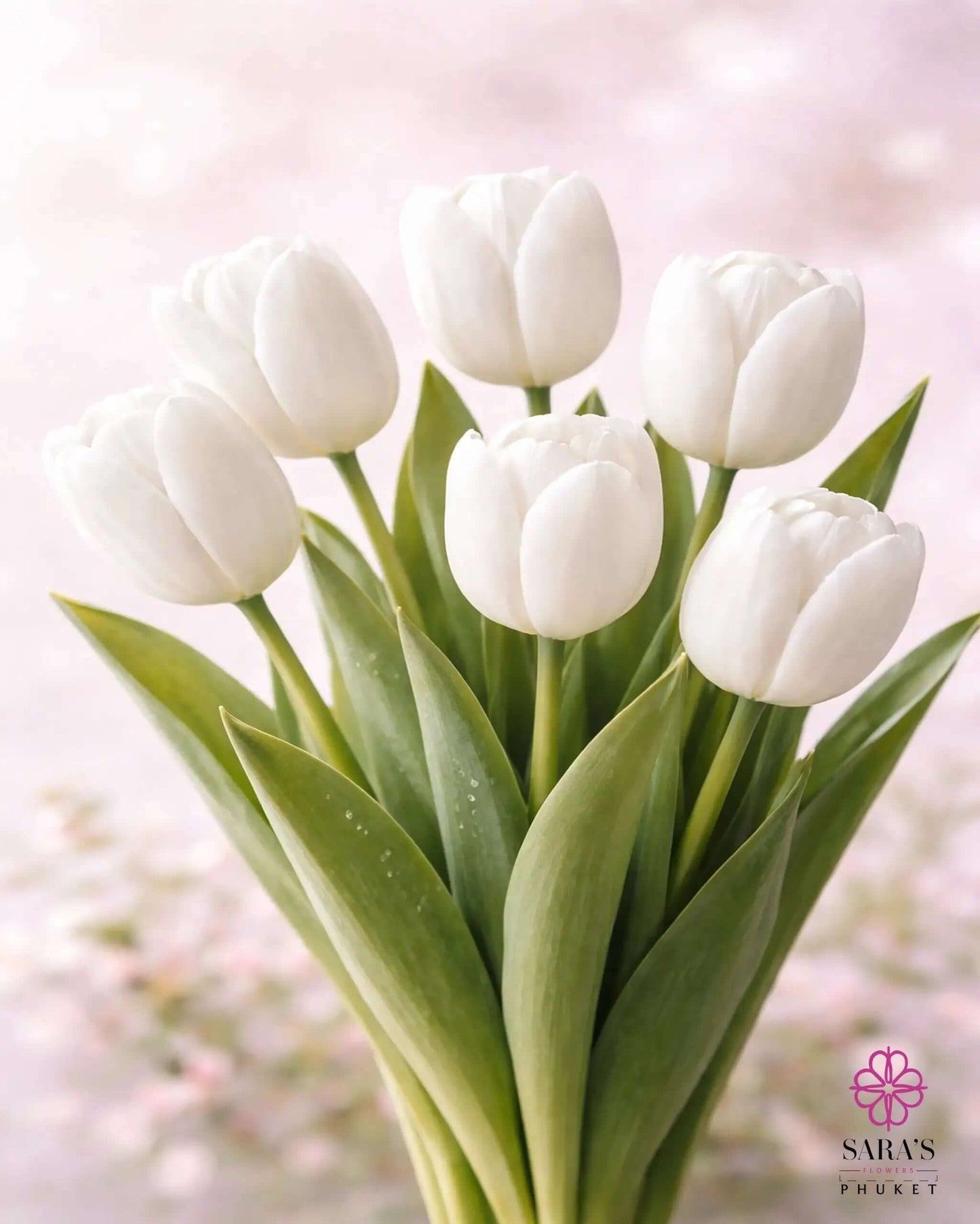 Elegant bouquet of six white premium imported tulips with green stems, against a soft pink background.