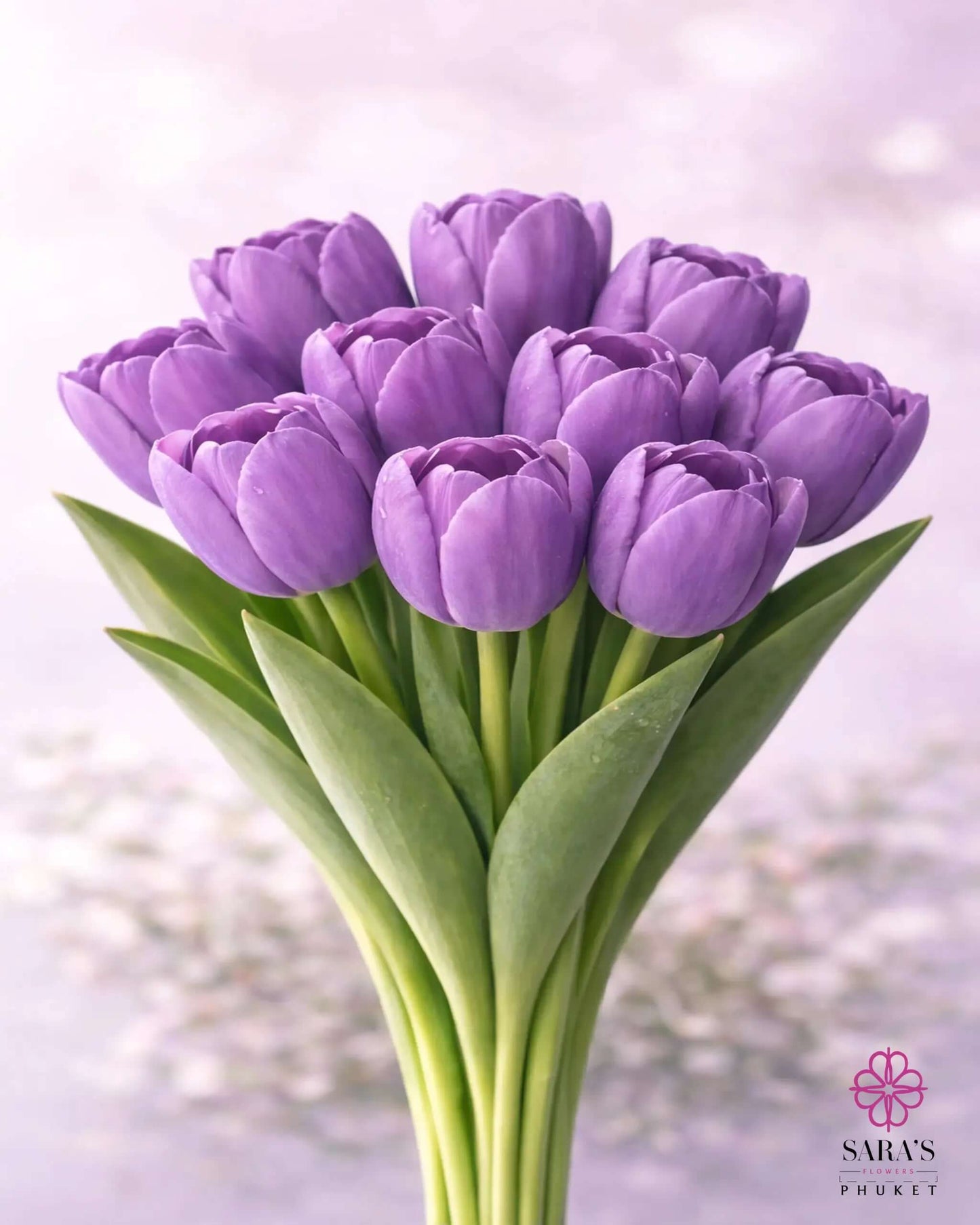 Elegant bouquet of premium purple tulips with green stems, wrapped in luxury white paper.