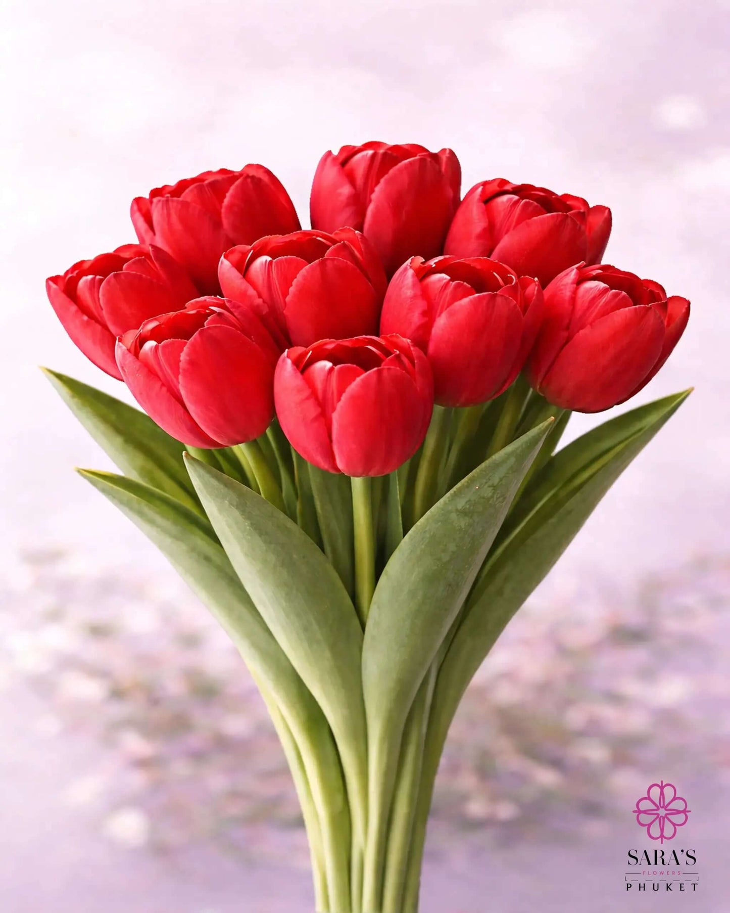 Vibrant red premium tulips with green stems, arranged elegantly against a soft, light background.