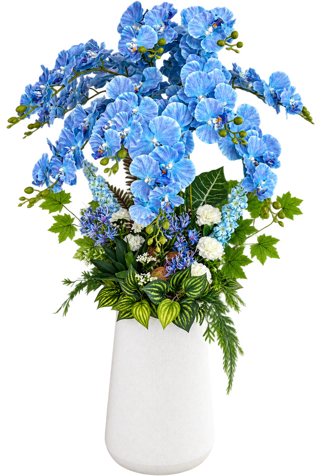 Blue Orchid Grandeur