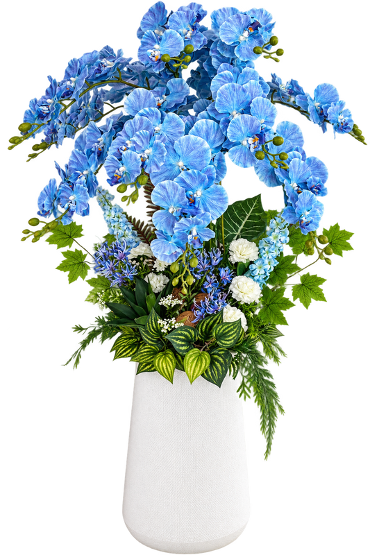 Blue Orchid Grandeur