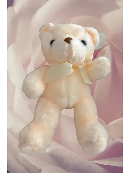 Cream plush teddy bear for flower delivery Phuket