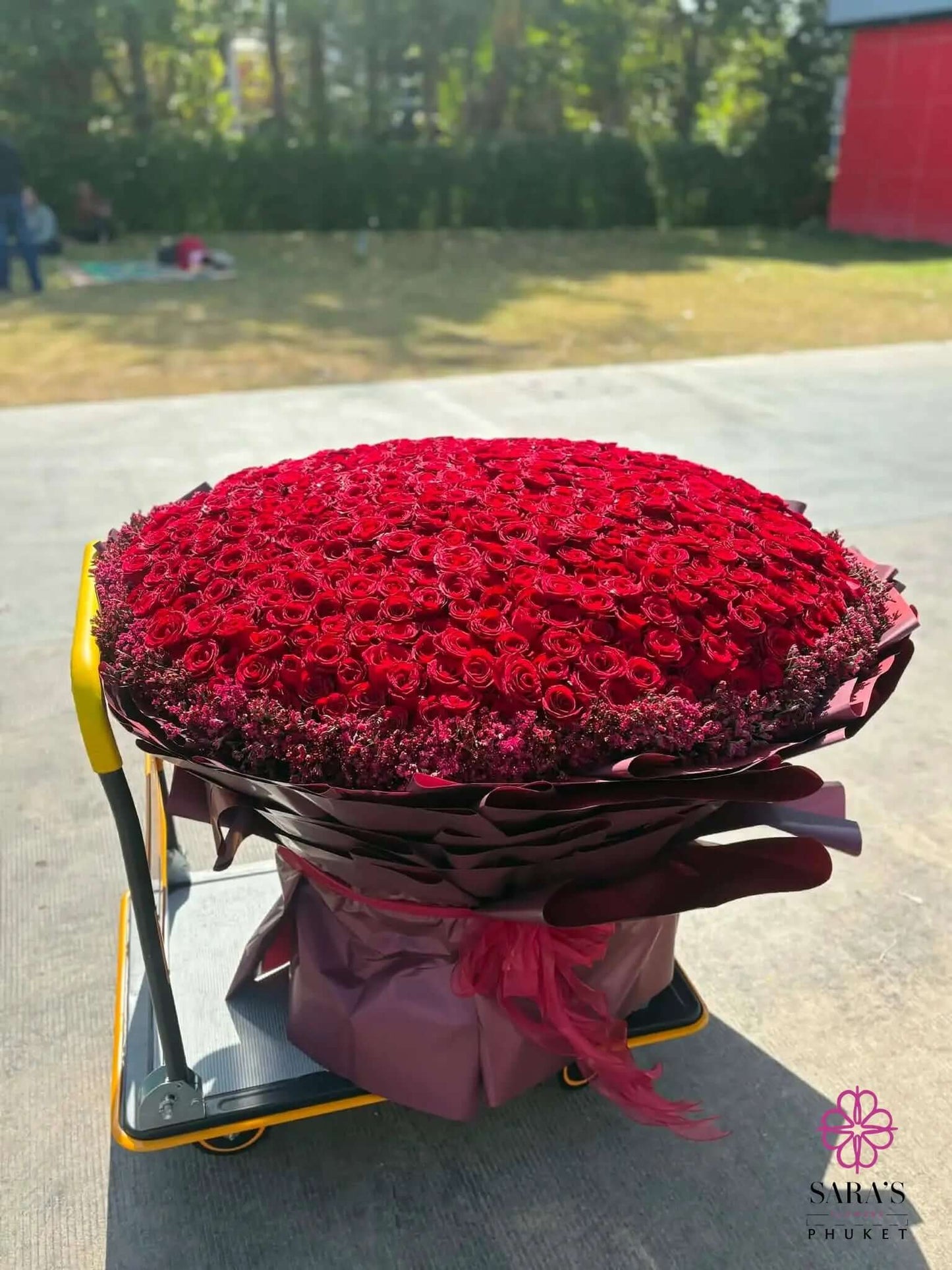 501 red roses by Sara’s Flowers Phuket
